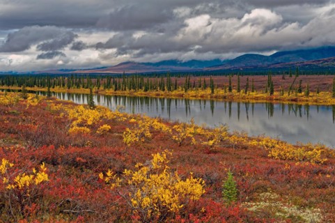 Autumn landscape in Denali State Park, intense colours, reflections in the water, Central Alaska,