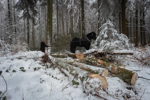 Winter in the Ore Mountains