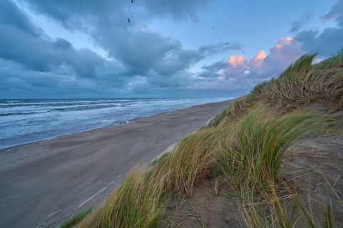 Sand dune, Sea, Marram Grass, Wind, Clouds, Zandvoort, North Sea, North Holland, Netherlands