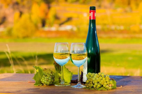 The wine-growing region of Saxony is one of the smallest and the most easterly wine-growing region