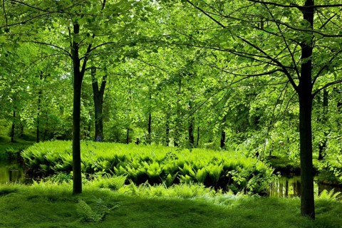Hermsdorf Castle Park