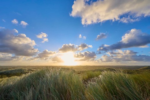 Sand dune, dune grass, wind, sunrise, clouds, Amsterdam water line dunes, Zandvoort, North Sea,