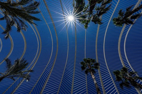 Umbracle, Palm House, Cuitat de les Arts i les Ciences, modern architecture, Valencia, Spain,