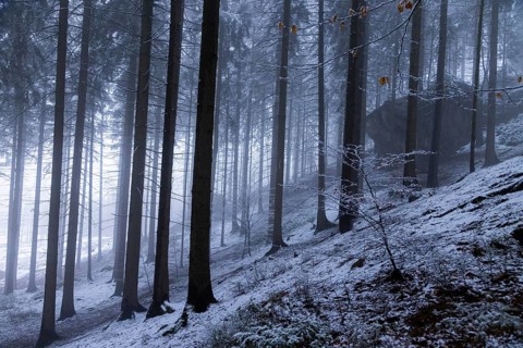 Winter weather on the Gohrisch (447) (8 metres) The Gohrisch is a table mountain in the left-elbe