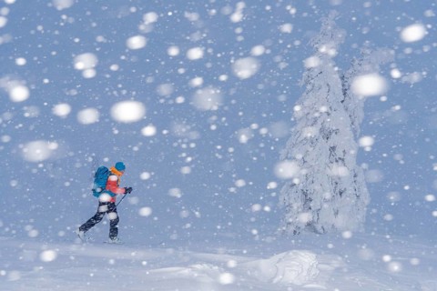 Skiers in the snow, Dundret Nature Reserve, Gällivare, Norrbotten, Lapland, Sweden, Sweden,