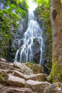 Burgbach waterfall in the sunlight, Black Forest, Bad Ripoldsau, Germany, Europe