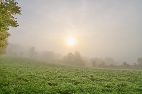 Meadow landscape, trees, forest, fog, haze, sunrise, Kirchzell, Amorbach, Odenwald, Bavaria,