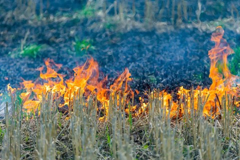 During controlled field fires, the firefighters were able to test various extinguishing methods,