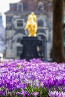 Spring on the main street in Dresden