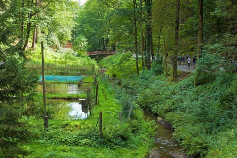 Trout ponds in the Amselgrund in Rathen