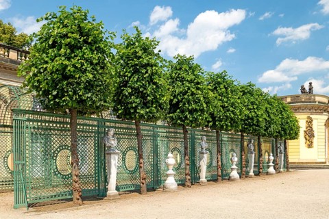 Marble figures, palace facade, Sanssouci, Potsdam, Brandenburg, Germany, Europe