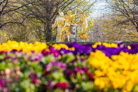 Bürgerwiese and Blüherpark, Mozart Fountain