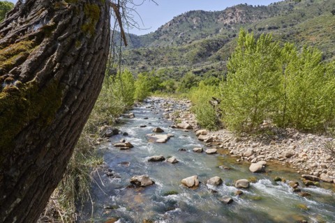 Gole di Tiberio, Historical gorge, High cliffs, Tree trunk near, Stream, Stones in stream, Fast