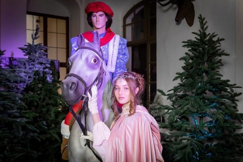 Winter exhibition, Three Hazelnuts for Cinderella
