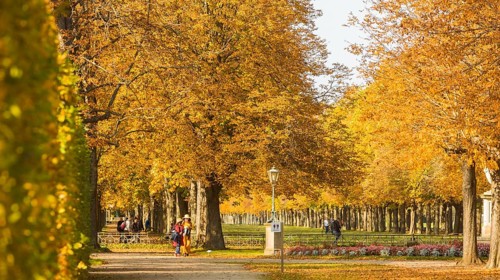 The former summer residence of the Saxon royal family is the largest chinoise palace complex in
