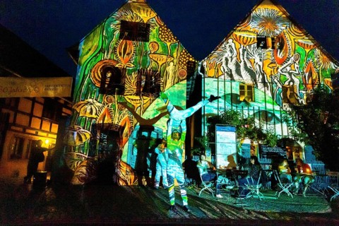Midsummer Night's Dreams Projections by Claudia Reh, Florian Meyer, violin, Norbert Kegel dances