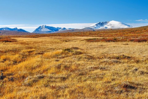 Dovrefjell National Park in autumn, mountains with snow, Snohetta, Oppdal, Norway, Europe