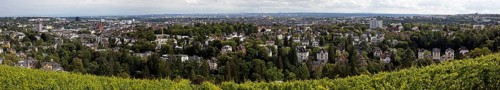 Panoramic view of the vineyard, the villas of the Nerotal and the state capital Wiesbaden,