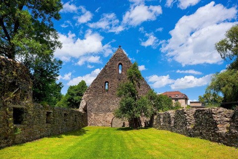 Altzella monastery. The bulk buildings on the other side of the mill race were used to store the