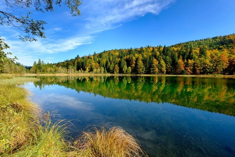 Frillensee near Inzell, Chiemgau, Upper Bavaria, Bavaria, Germany, Europe