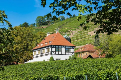 Hoflössnitz st a former Electoral Saxon, now municipal winery on the Saxon Wine Route In the 21st