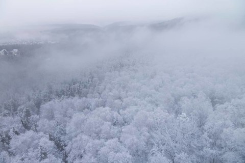 Winter weather on the Gohrisch (447) (8 metres) The Gohrisch is a table mountain in the left-elbe