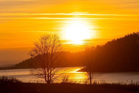The Rauschenbach Dam is a dam in the Free State of Saxony. The dammed waters are the Flöha and the