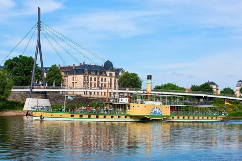 Steamboat parade on the Elbe