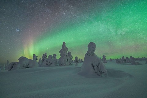 Northern Lights over Snowed-in Trees, Winter Landscape, Riisitunturi National Park, Posio, Lapland,