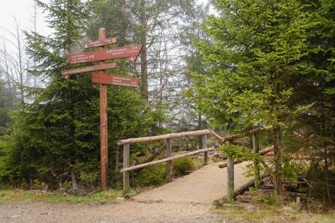 Signpost at the Oderteich, Nebel, Harz National Park, Lower Saxony, Germany, Europe