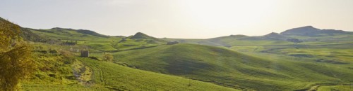 Green hilly landscape, blossoming trees, fields, Madonie National Park, spring, Sicily, Italy,