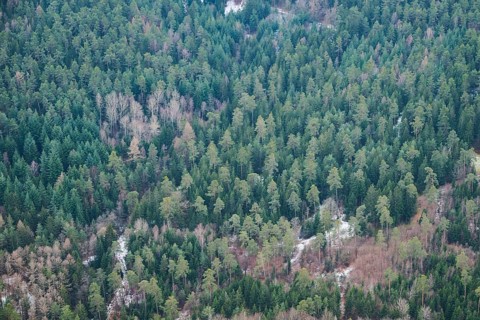 Aerial view of the area around Neumarkt in der Oberpfalz, Bavaria, Germany, Europe