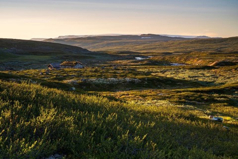 Cabin in the landscape of the Hardangervidda plateau, Norway, Europe
