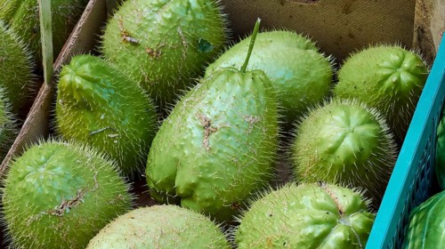Stink (Durio zibethinus) fruit, close, detail, markets, open air, Palermo, capital, Sicily, Italy,