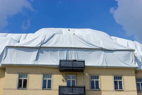 An apartment building in Bannewitz has a massive wood tick infestation despite renovation. The pest
