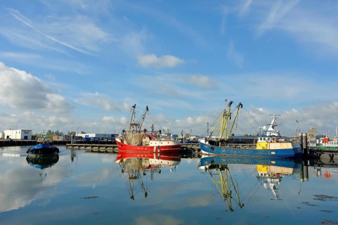 Harbour with fishing boats, Lauwersoog, Lauwersmeer National Park, Holland, Netherlands