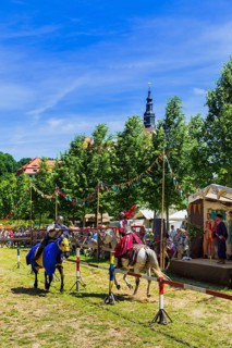 Weesenstein Whitsun Knights Tournament