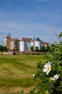 Torgau Hartenfels Castle