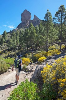 Hikers in the Parque Rural del Nublo, Roque Nublo in the back, Las Palmas province, Gran Canaria,