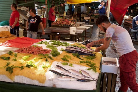 Fish counter, fish seller draping fish, markets, open air, Palermo, capital, Sicily, Italy, Europe