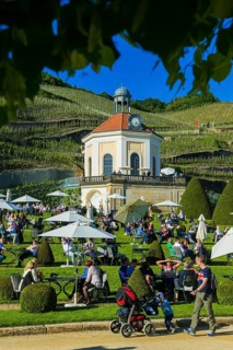Winery Wackerbarth Castle