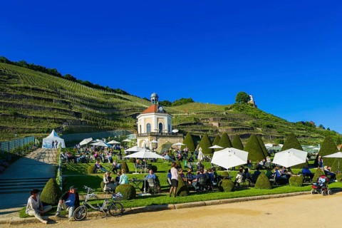 Winery Wackerbarth Castle