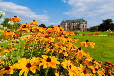Palace in the Great Garden