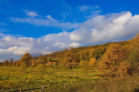 (Copyright Â©www.dresden fotografie.de) (Sylvio Dittrich +49 1772156417) Pillnitz Palace Park