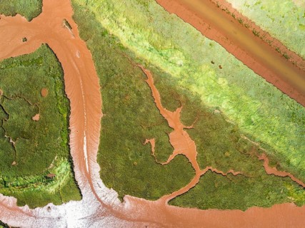 Top Down over River Otter Estuary Nature Reserve from a drone, Budleigh Salterton Beach, Devon,