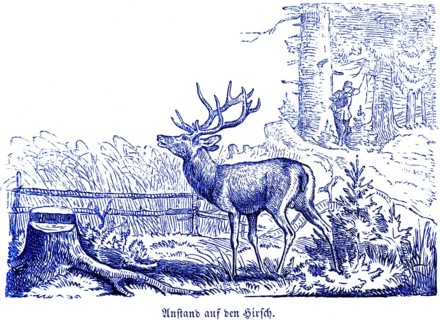 Decency on the stag, Hubertus hunting and hunting scenes, wild animals, hunter, rifle, antlers,