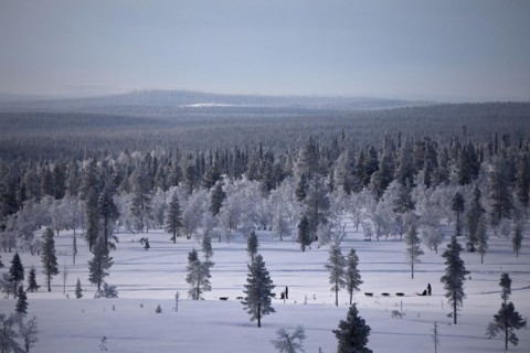 Dog sledding trip through the wintry mountains near Saariselkä, Lapland, Finland, Europe