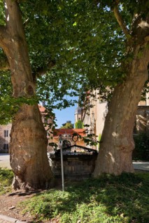(Â© Sylvio Dittrich +49 1772156417) Fountain at Merseburg Cathedral