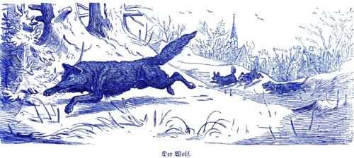 Gray wolf (Canis lupus), Hubertus hunting and hunting scenes, wild animals, landscape, village,