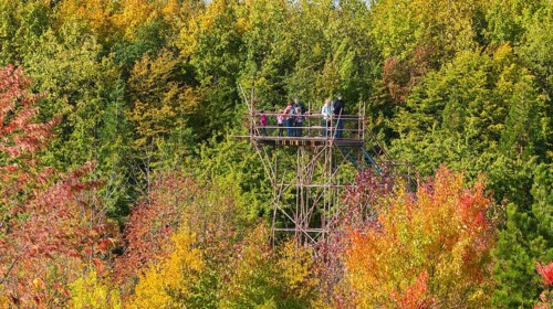 The Forest Botanical Garden Tharandt is an institution of the Technical University of Dresden and